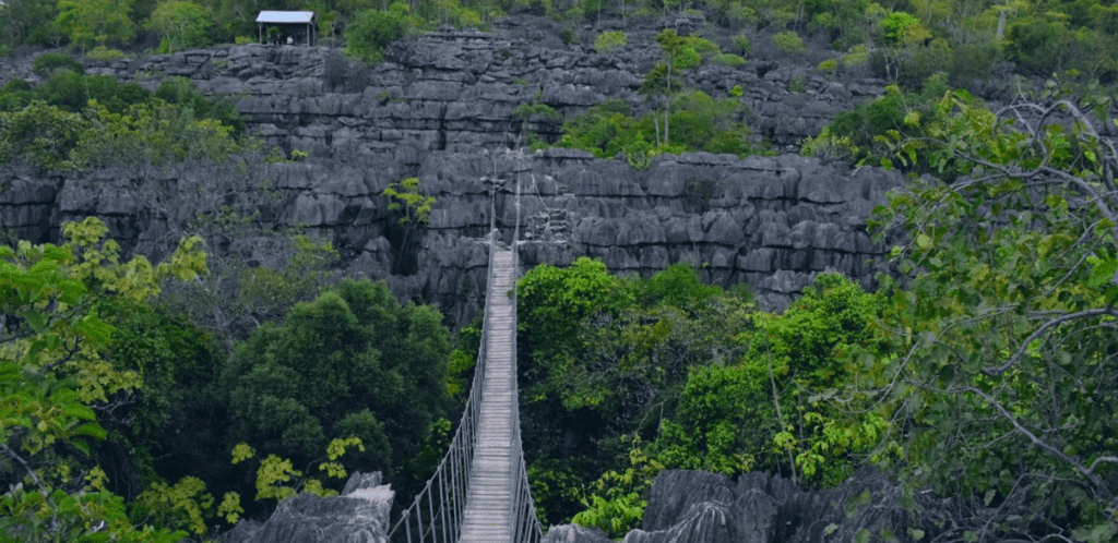Ankarana Nationaal Park